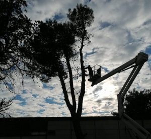 Suradnja s vanjskim ustanovama