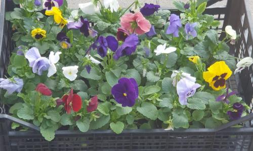 72 sata bez kompromisa