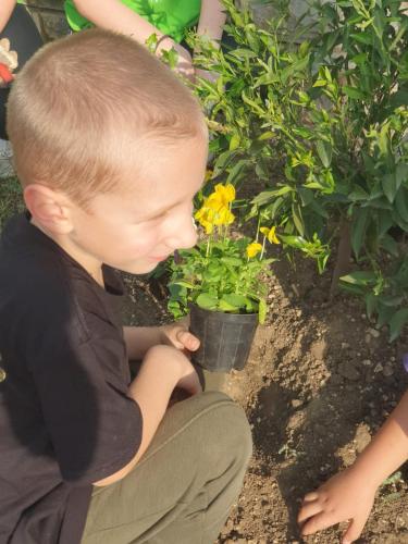 72 sata bez kompromisa