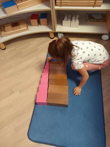 Montessori program u PO Višnjik II