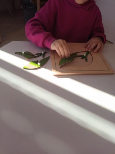 Montessori program u PO Višnjik II